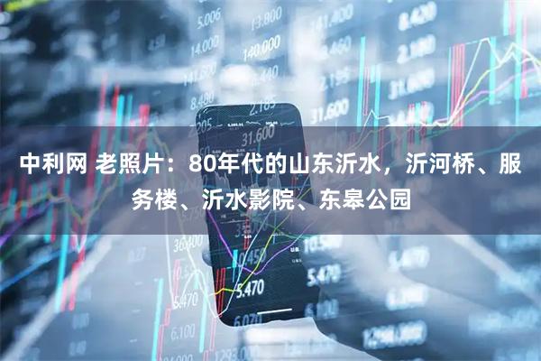 中利网 老照片：80年代的山东沂水，沂河桥、服务楼、沂水影院、东皋公园