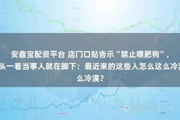 安鑫宝配资平台 店门口贴告示“禁止喂肥狗”，低头一看当事人就在脚下：最近来的这些人怎么这么冷漠？
